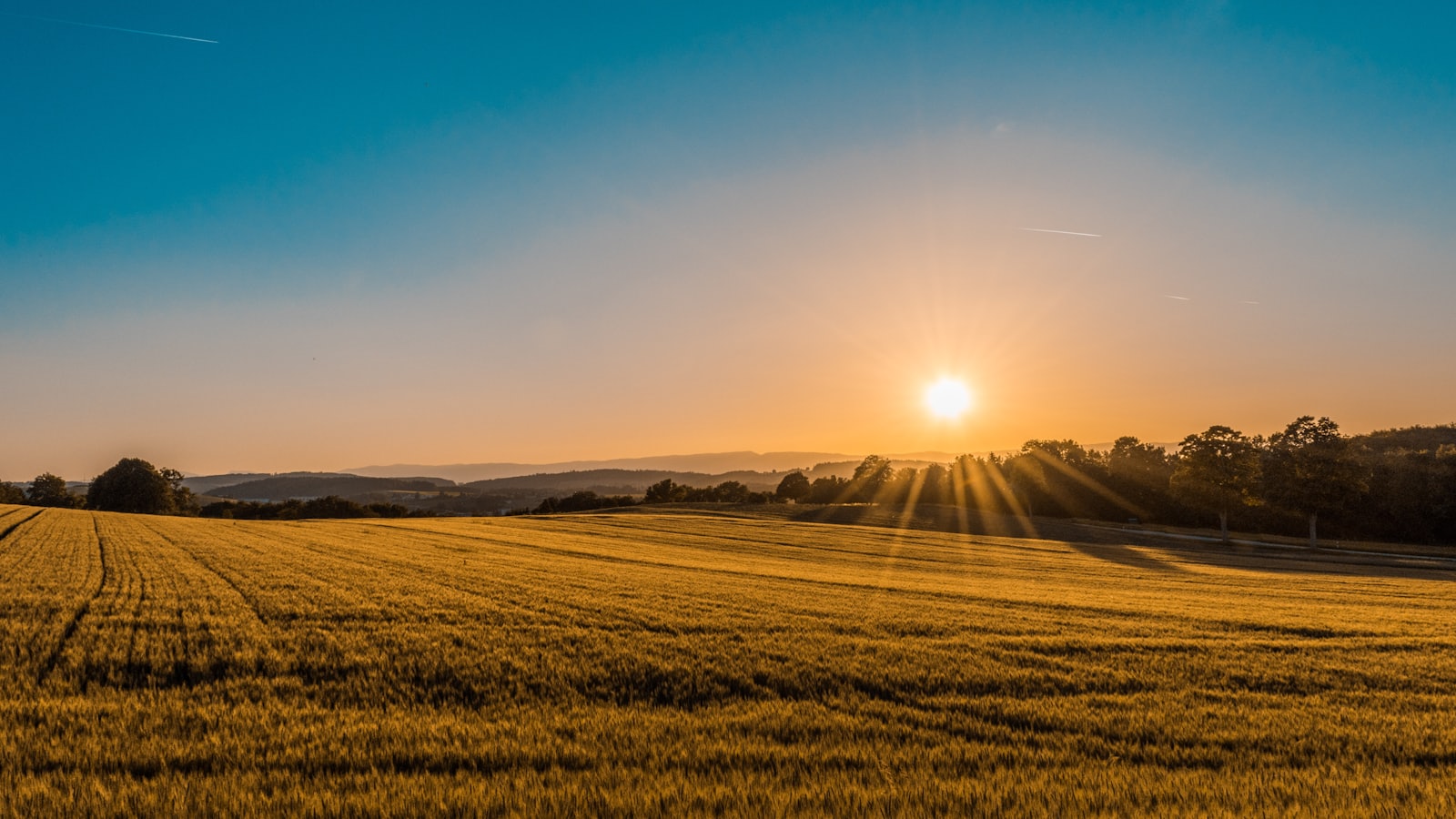 Sonnenaufgang über einem Getreidefeld der HAB GmbH in Molschleben